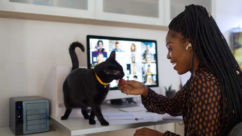 young women working from home on a video call with her pet cat