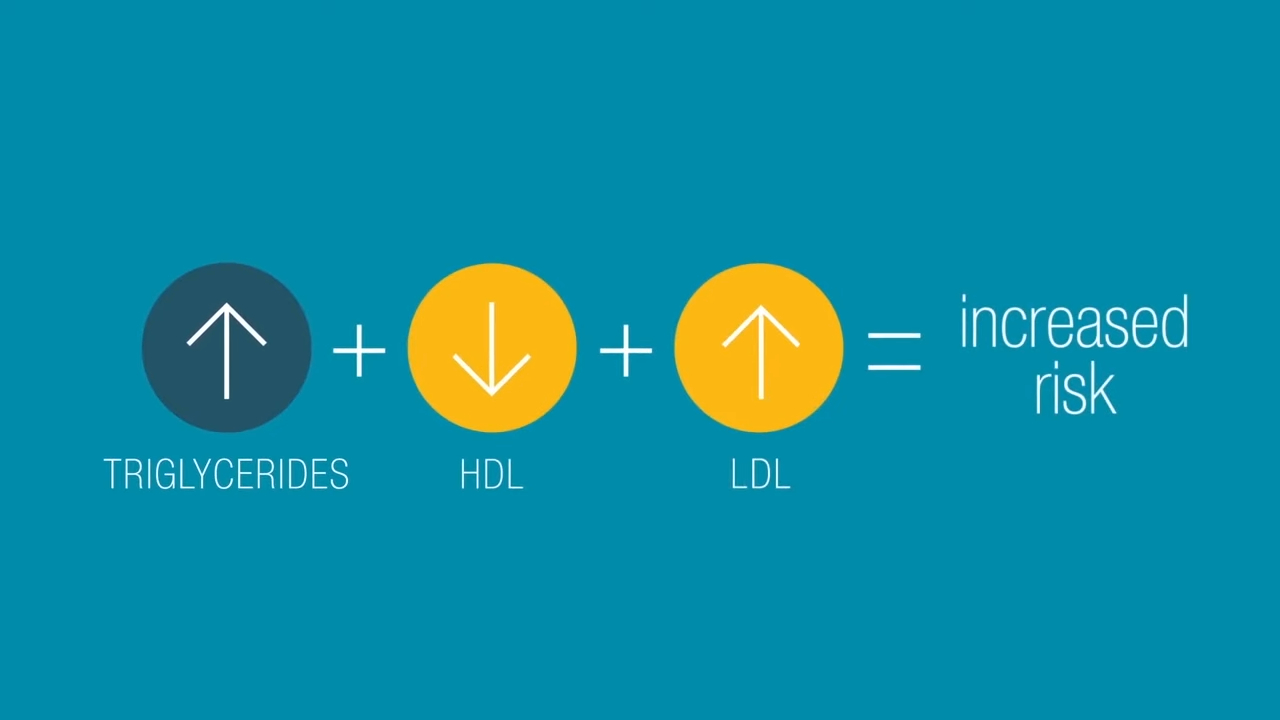 What is cholesterol video