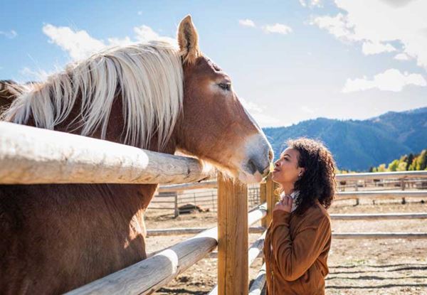 women petting horse over fence